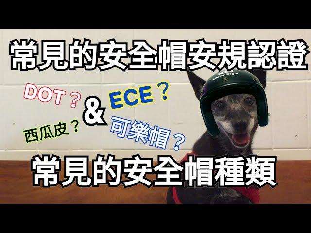 【循環機】常見的安全帽種類 & 安規認證 ║ 帽帽系列#01