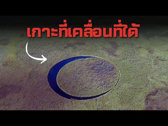 เรื่องประหลาดในอาร์เจนตินา