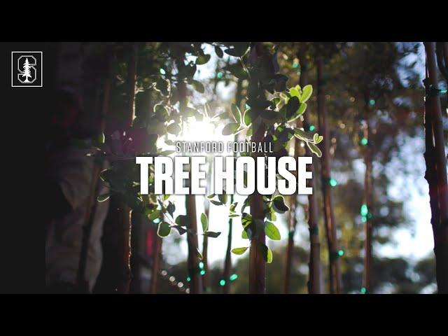 Stanford Athletics: Tree House