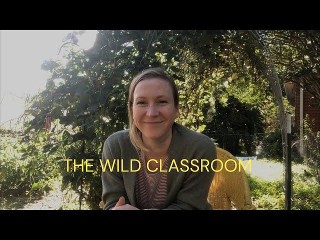 The Wild Classroom • A Restorative Agriculture Journey  *NEW CHANNEL NAME*