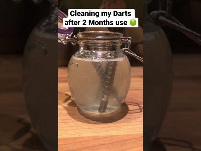 *GROSS* Cleaning my darts after 2 Months, Very Satisfying