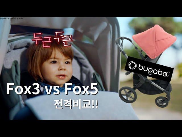 부가부 Fox3 vs Fox5 장, 단점 비교분석!!