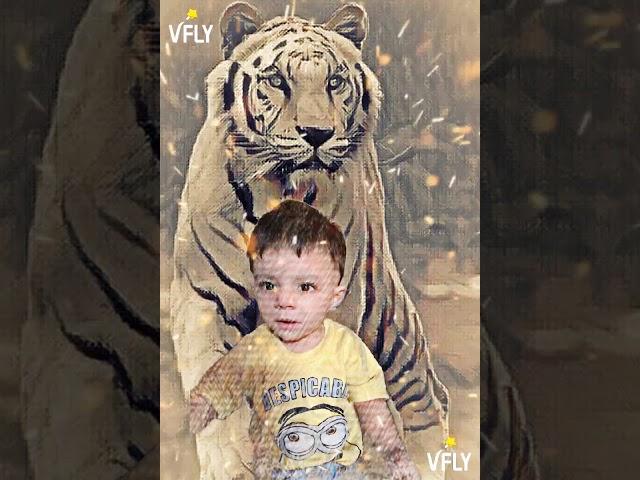 muhammad abu umar raheel raza