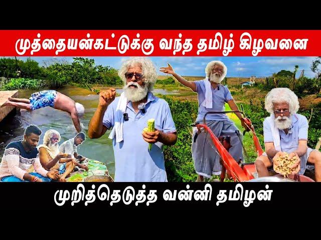 வன்னிக்கு வந்த தமிழ் கிழவனை முறித்து எடுத்த vanni vlog| Jaffna Tamil Kilavan