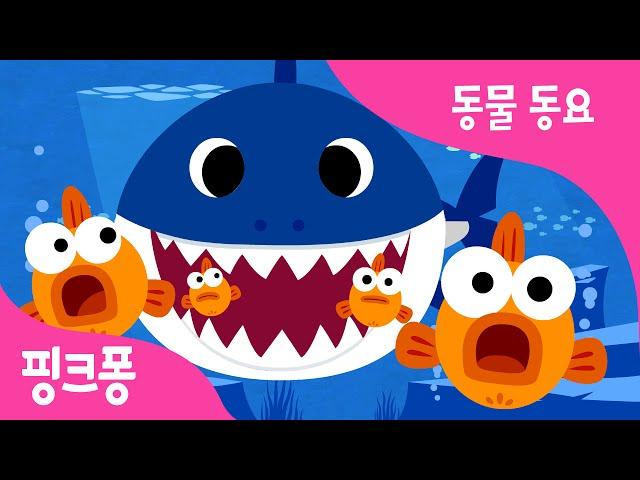 아기상어 | 상어가족 | 동물동요 | @BabyShark_Korean 핑크퐁! 인기동요