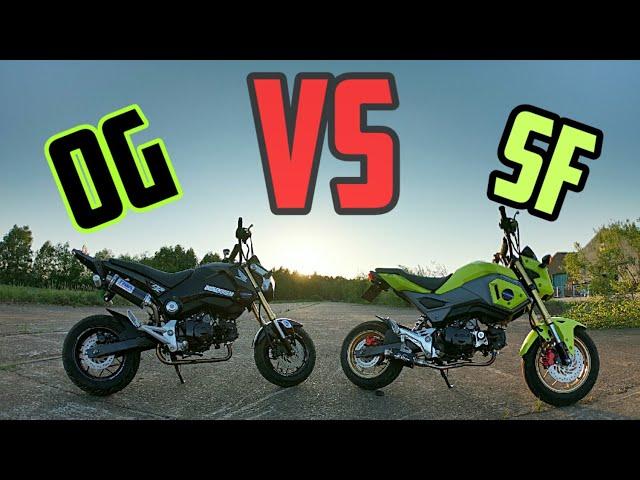 Don't Buy A Honda Grom | Until You Watch this!!