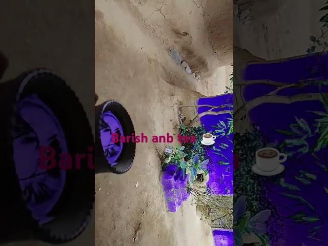 barish and tea 
