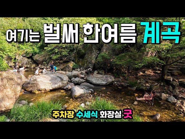 양평 사나사계곡 수도권 지금 한여름 시원한 물놀이 중, 장마 오기 전에 얼른 가세요, 차박여행, 수세식화장실OK, 무료주차, 가족단위 피크닉 명소, 울창한 계곡 탐방길 산책