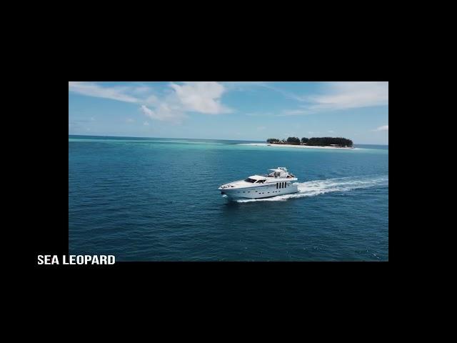 Sea Leopard yacht in Mafia Island at Thanda island