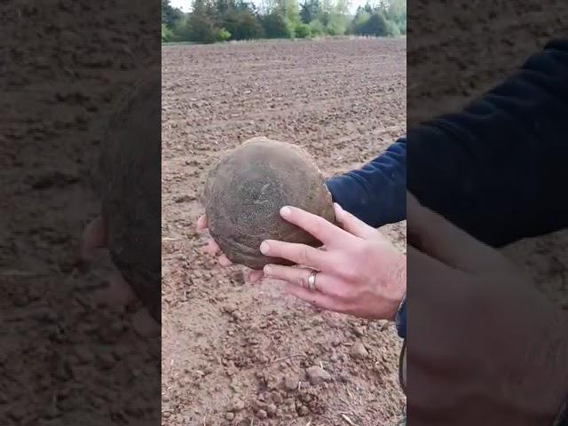 Native American Anvil field find