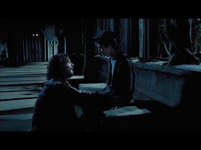 harry potter and sirius black being precious