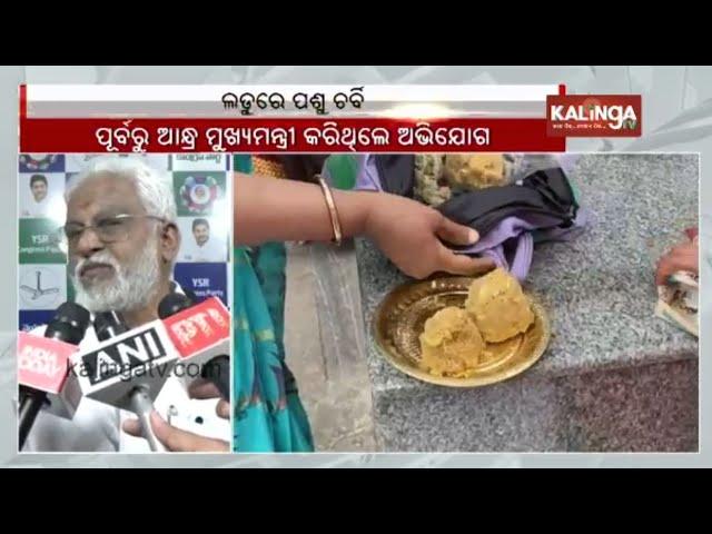 Beef fat used in making laddus at Tirupati Temple: Lab report || KalingaTV