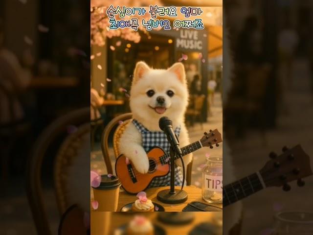 순심이의 #어쩌죠 #우이경 #노래하는강아지 #강아지쇼츠 #cutedog #singingdog #댕댕이 #funnyshorts