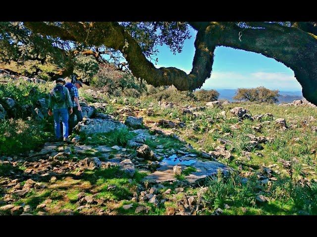 Cádiz ¡Naturalmente! El Sur verde de España, «Cádiz natürlich! Der grüne Süden Spaniens”