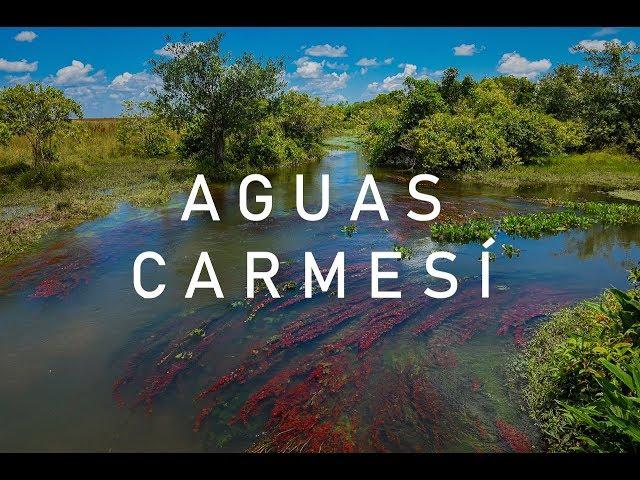 Travesía a las aguas de colores - Casanare