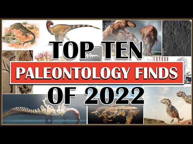 Top Ten Paleontology Finds of 2022