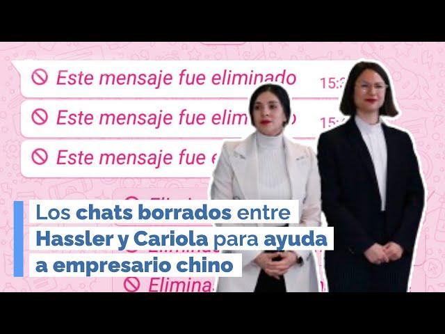 Los chats borrados entre Hassler y Cariola por ayuda a empresario chino (RD)