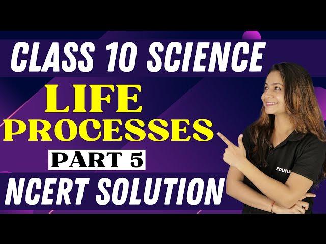 LIFE PROCESSES || NCERT SOLUTION || PART 5 || CLASS 10 || SCIENCE || KRUSHI MA'AM EDUHAP