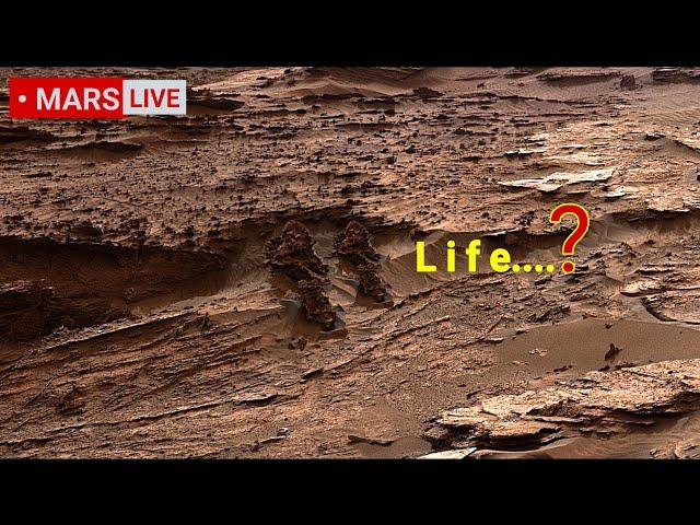 Is NASA's Mars Perseverance Rover Captured Past Life-Sign? Curiosity- 360 Degree Photos 2022-2023