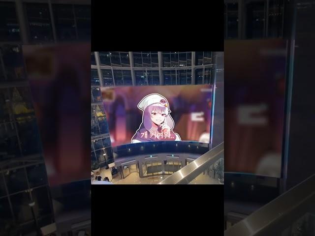 ??? : 임나은 개 귀여워 #shorts