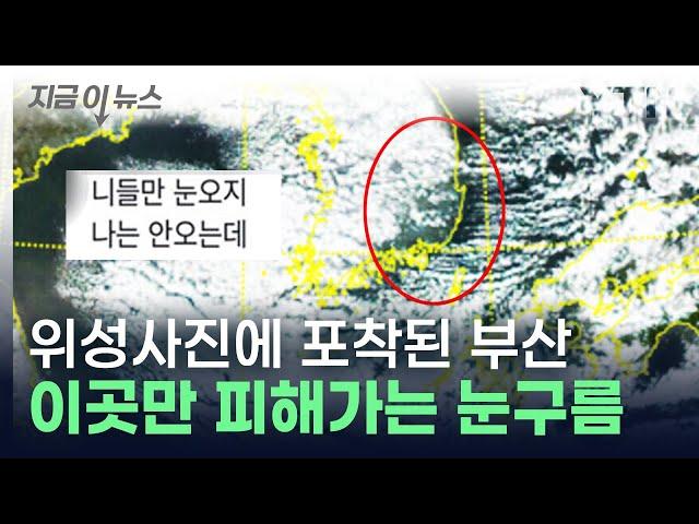 부산만 피해가는 눈구름 위성에 '포착'..."역시 한국의 캘리포니아" [지금이뉴스] / YTN