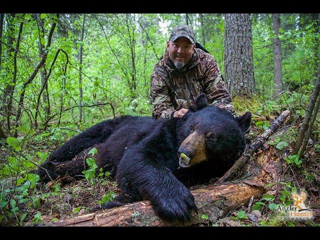 2016 Season | Great Big Mother of a Bear, Ontario Spring Black Bear