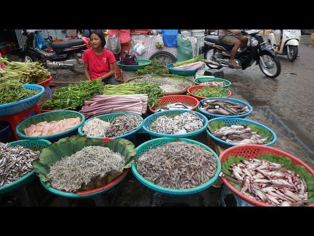 Cambodia Street Market - Fresh Vegetable, Meat, Fish, Crab, Snail & More Seafood @Sam Hanh