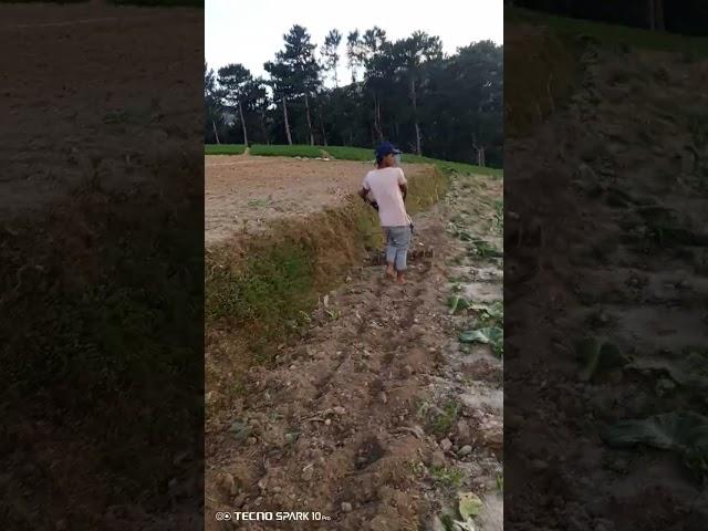 cultivating the land using tractor