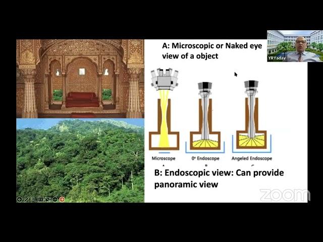Neurosurgical TV Global Series #8: Learning endoscopic neurosurgery