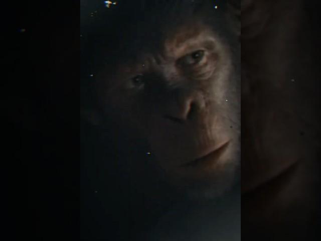 Noa [edit] #kingdomoftheplanetoftheapes