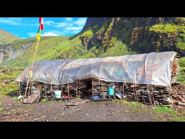 Himalayan Village Life | Dolpa | Nepal | Yarsagumba Hunter | Village Food Cooking | Real Nepali Life