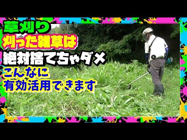 【草刈り】刈った雑草はすてちゃダメ!! 再活用で日照り続きを乗り切ろう