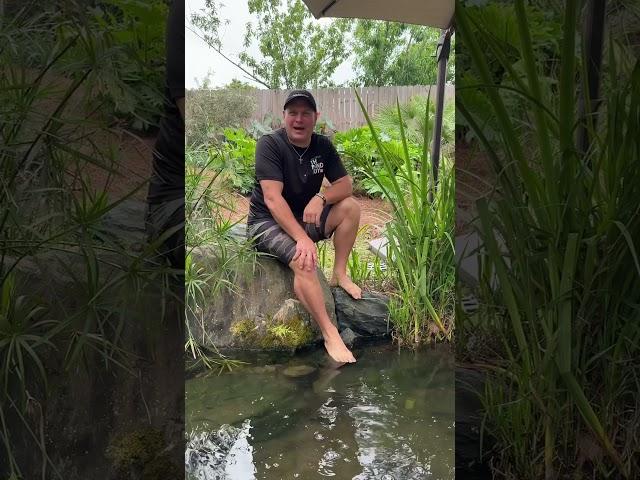 How @BamaBass is #livingtheaquascapelifestyle