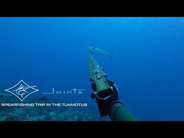 JOINTS SPEARFSIHING TAHITI - ANOTHER TRIP IN THE TUAMS