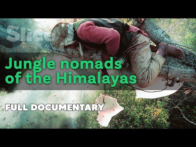 Jungle nomads of the Himalayas | SLICE | Full documentary