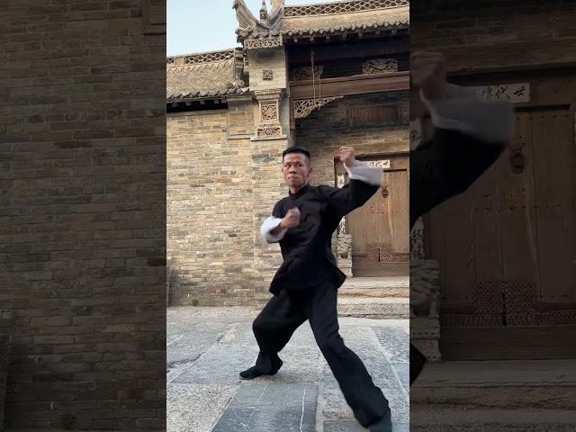 真正的太极刚劲十足 劲力浑厚，招招有劲！#太极 #内家拳#实用拳法