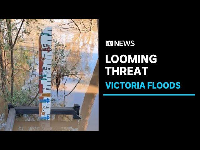 Victorian floods move towards Shepparton as Goulburn river peaks in Murchison | ABC News