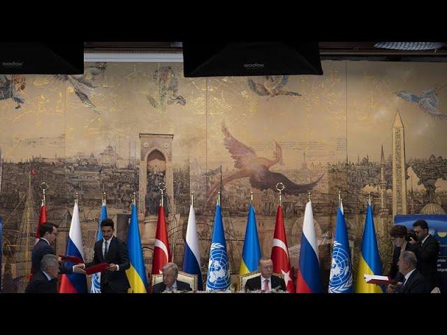 Украинское зерно сможет попасть на мировые рынки