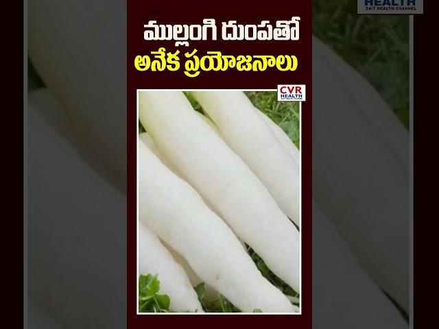 ముల్లంగి దుంపతో అనేక ప్రయోజనాలు | Many Benefits of Radish | CVR Health