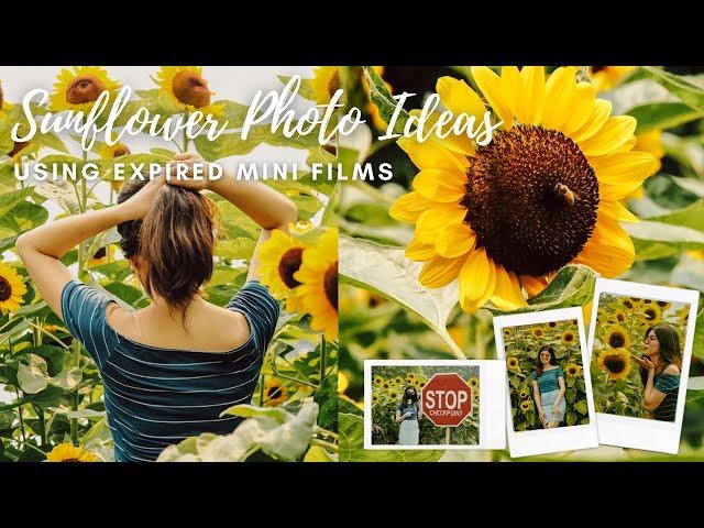 Sunflower Photo Ideas  Expired Instax Film • Stained Glass Mini Film • Instax Mini Evo