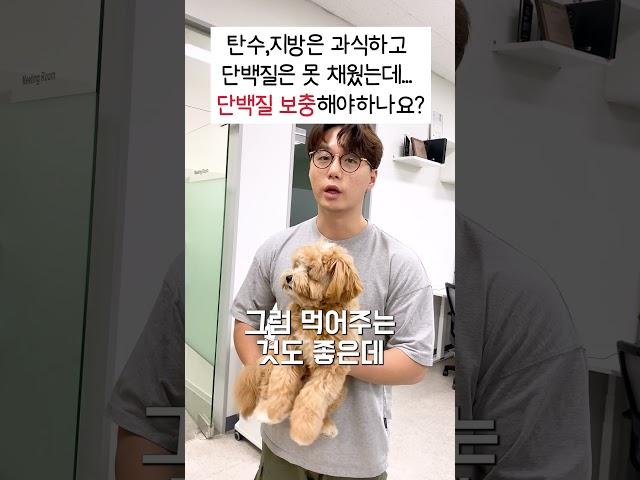 과식했는데 단백질은 못 먹었을 때 #다이어트 #저탄고지 #단백질