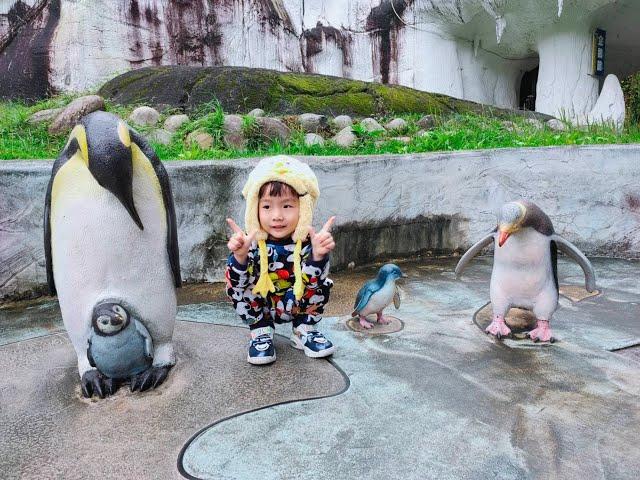 台北市立動物園 Taipei Zoo