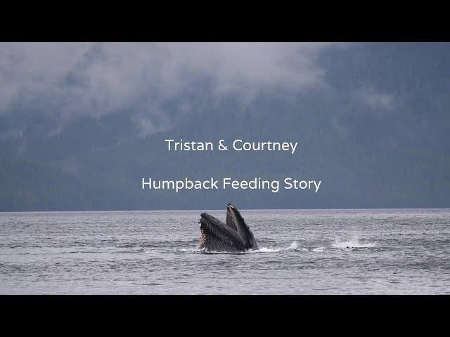 Tristan & Courtney: Humpback Story