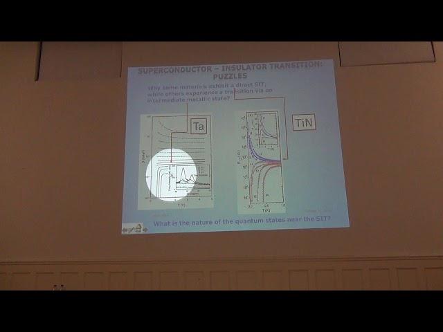 Gauge Theory of the Superconductor-Insulator Transition - Valerii Vinokour