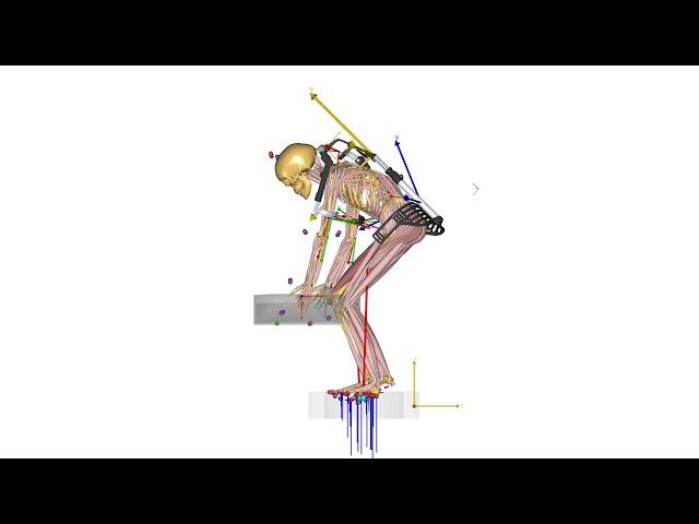 [Webcast] - Biomechanical investigation of a passive upper extremity exoskeleton for manual handling