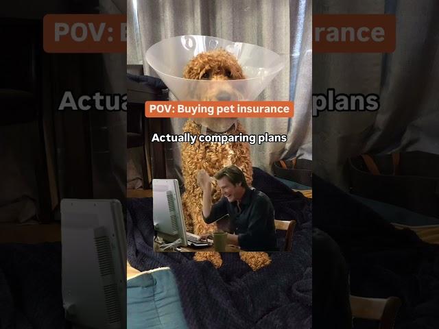 Save yourself the headache and use Pawlicy Advisor instead! 