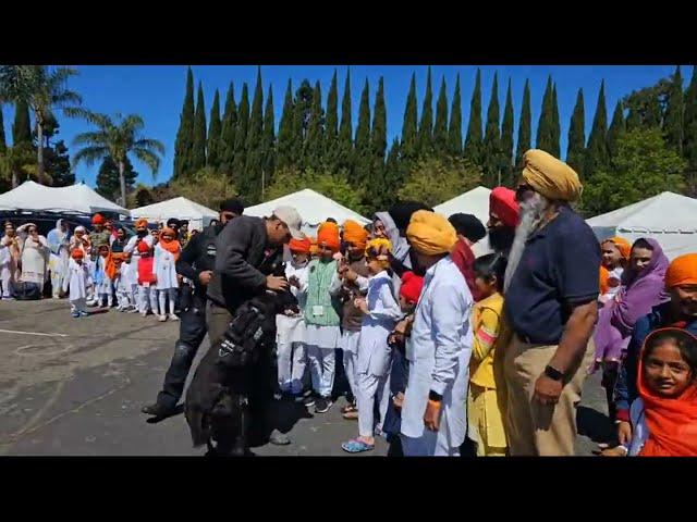 K9 demonstration at #fremontgurdwara by Fremont PD on Sikh Children Day 2024 Officer Jaskirat Singh