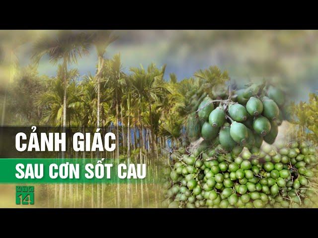 Đằng sau “cơn sốt cau” là gì?| VTC14