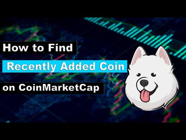 How to Find Recently Added Coins on CoinMarketCap (Daily 500% Profit)