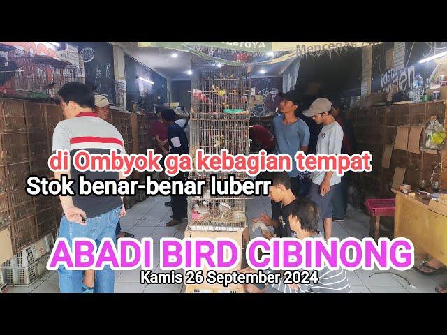 Update Ambyar stok sampai di Ombyok#AbadibirdCibinong 26/09/2024